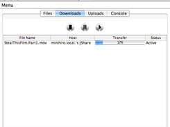 Downloads tab