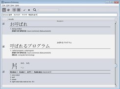 Japanese Dictionary Screenshot 2