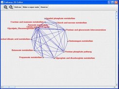 J2dPathway: Nodes will be abstracted