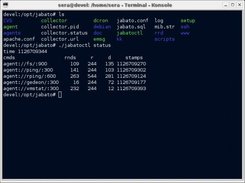 Cmd interface - collector status
