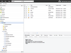 DX Repository Explorer