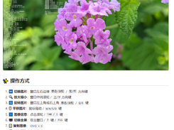 JarkViewer Screenshot 1