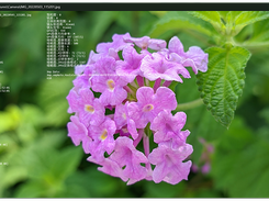 JarkViewer Screenshot 1