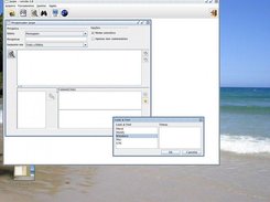 Portuguese interface with Windows Look & Feel