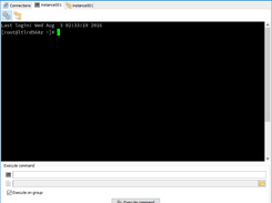 Execute command panel