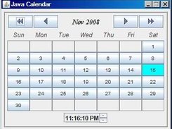 Calendar displaying only Time