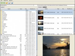 Left: small icon mode, Right: big icon mode with media prev.