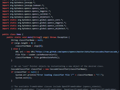 JavaCV Screenshot 2