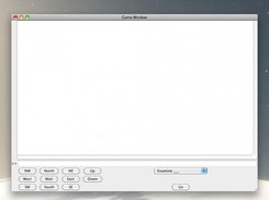 Picture of the game window