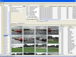 Rename Mode with image metadata displayed