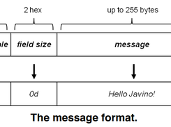 Javino message format