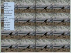 JaviSynthViewer_stack_vertical_horizontal