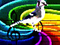 Jaydle Bird