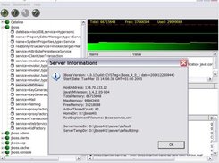 Server information for connected JBoss