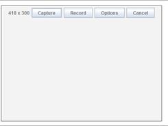 Capture window