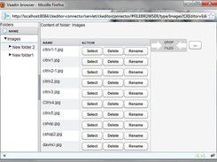 Example filebrowser with upload function
