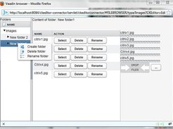 Multiple active uploads (Just drop a group of files on the u
