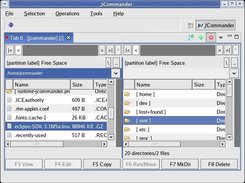 The main perspective (Linux x86/KDE)