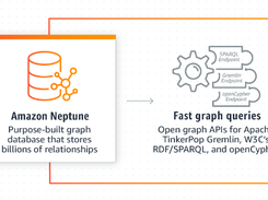 JDBC Driver for Amazon Neptune Screenshot 1