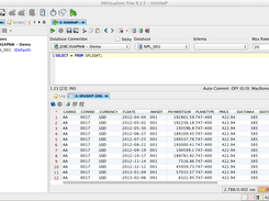 DB Visualizer individual select statement