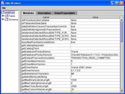 Database metadata window