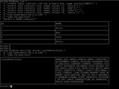 Jdbsee CLI running SQL on bash