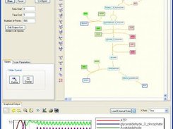 JDesigner Simulating the Jana Wolf Model