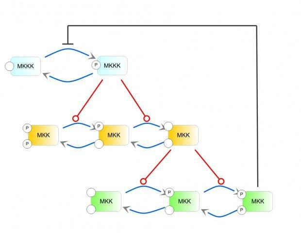 download supply chain