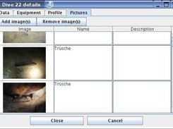 Detail window, Tab with the pictures