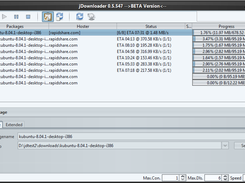 JDownloader Screenshot 1