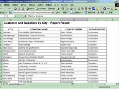 The Excel format of The Report Result