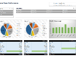 Sales Team Performance