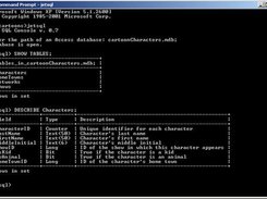 Opening a database; showing tables; describing a table.