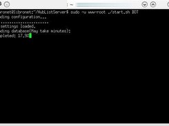 The loading process at start