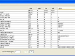 A file record mapped to a copybook, standard view