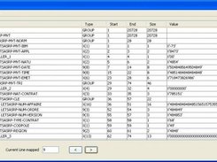A file record mapped to a copybook, hexadecimal view