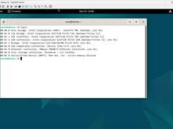 Debian12 guest