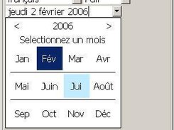 SWT Combo Calendar (french, month view)