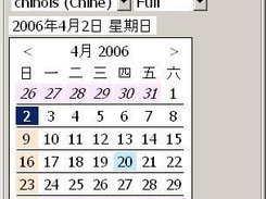 SWT Calendar (Simplified Chinese, day view)