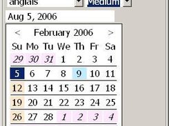 SWT Calendar (english, day view)