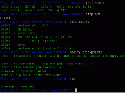 Step out and Breakpoints