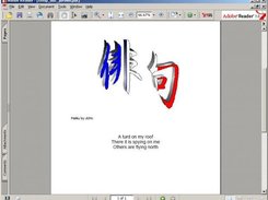 Final Output from Haiku Interview