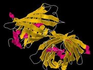 Rendering of a protein with cartoons.