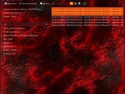jmusicmanager 1.25 with custom background substance skin