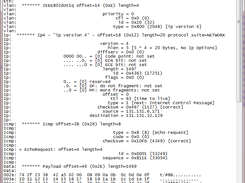 VLAN/ICMP Packet