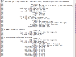 ICMP with Options packet