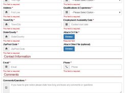 Job Application Employment Form Website Screenshot 2