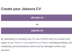 Jobsora Screenshot 2