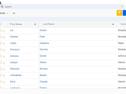 Leads List View 