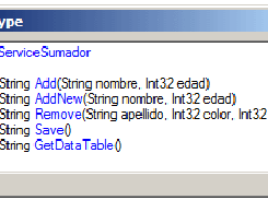 El usuario puede elegir ver el prototipo programático formado por los métodos del servicio web.